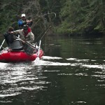 Fighting a Steelhead