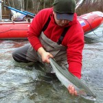 Cowichan Steelhead