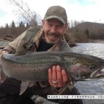 A healthy wild winter steelhead.